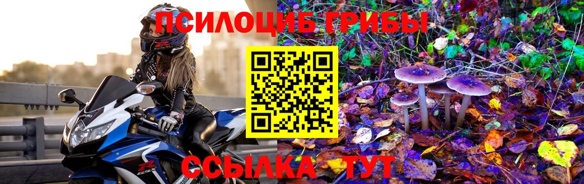Минеральные Воды  Псилоцибиновые грибы MAGIC MUSHROOMS  Вход с VPN 